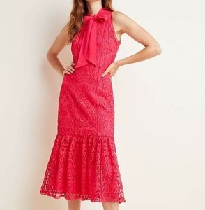 Red Lace Mermaid dress